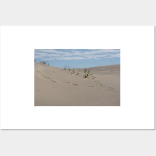 Sand dunes. Posters and Art